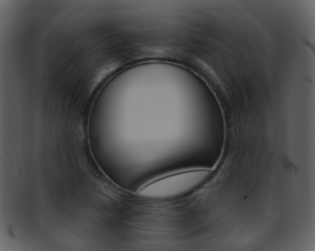 X0000096661218200802050949
