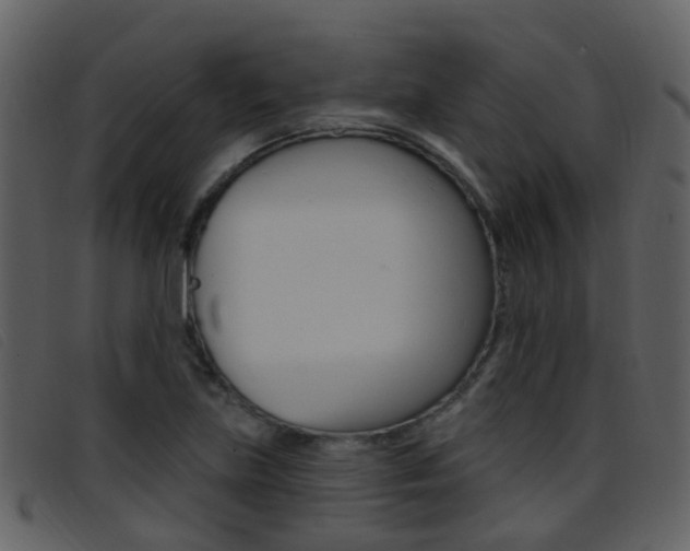 X0000096661219200802050949