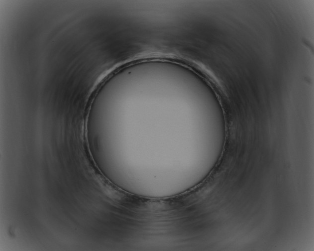 X0000096661220200802050949