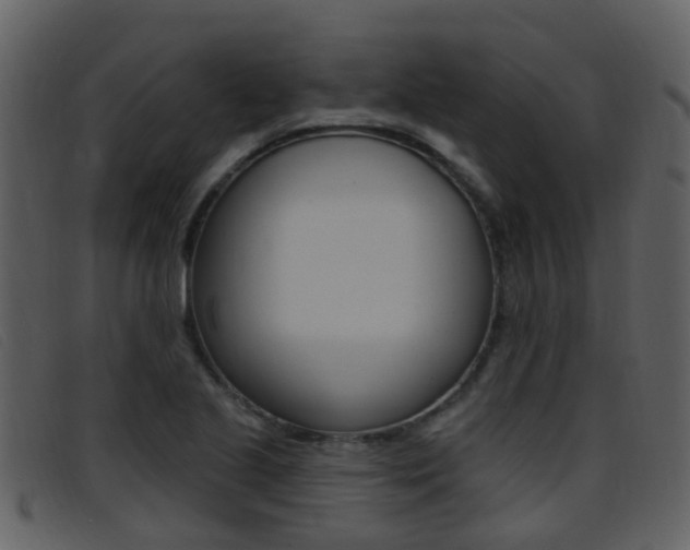 X0000096661221200802050949