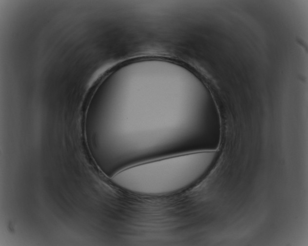 X0000096661222200802050949