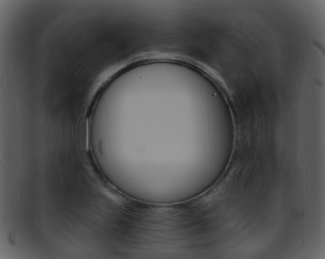 X0000096661223200802050949
