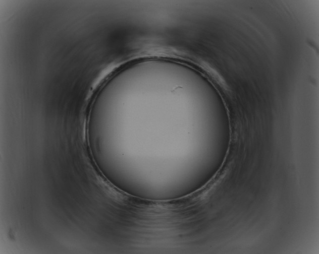 X0000096661224200802050949