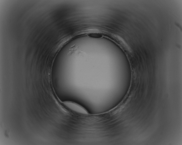 X0000096661225200802050949