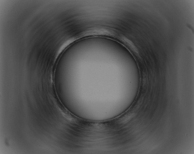 X0000096661226200802050949