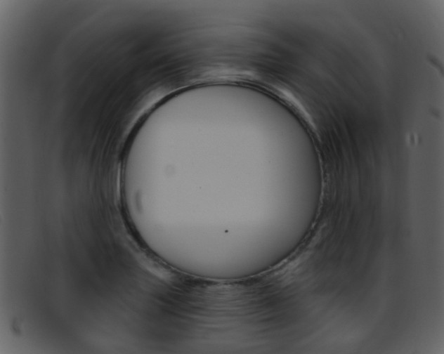 X0000096661227200802050949