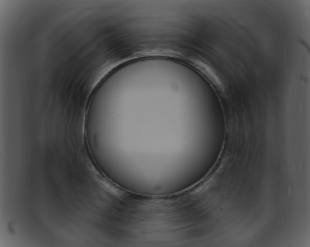 X0000096661228200802050949
