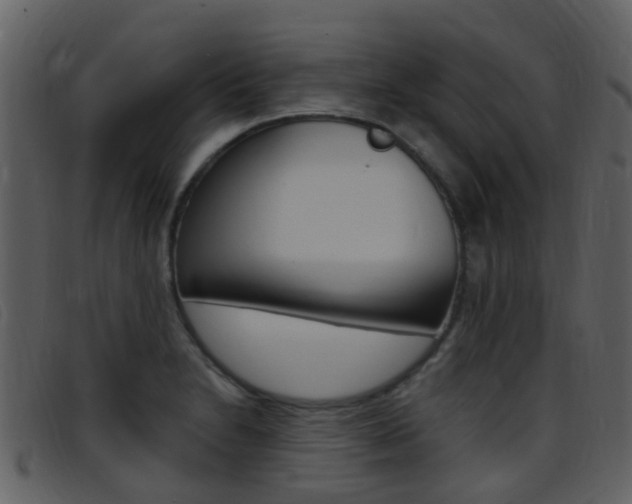 X0000096661230200802050949