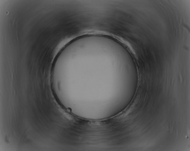 X0000096661231200802050949