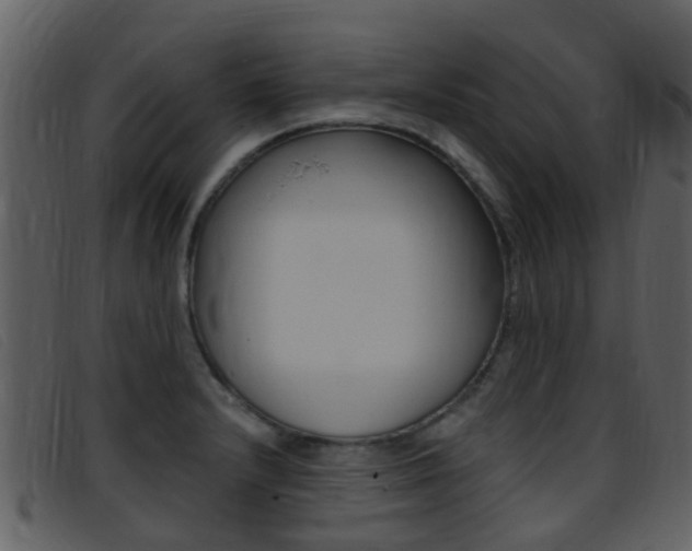 X0000096661232200802050949