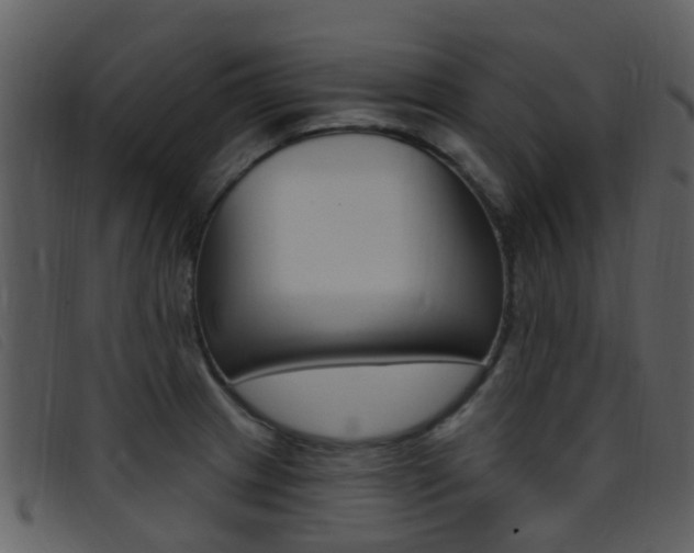 X0000096661233200802050949