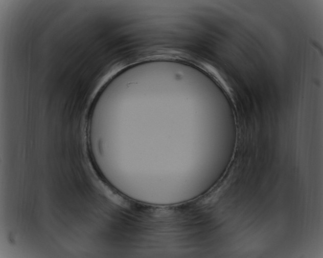 X0000096661235200802050949
