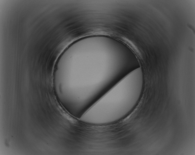 X0000096661236200802050949