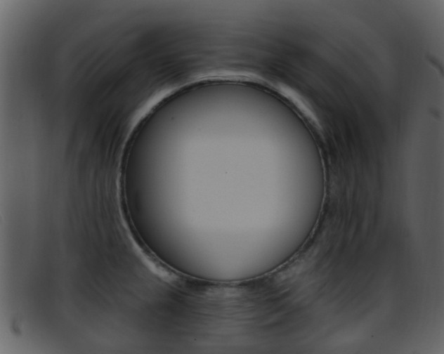 X0000096661237200802050949