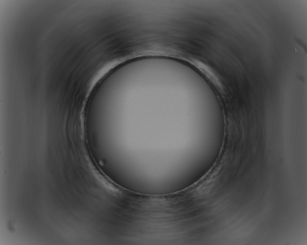 X0000096661238200802050949