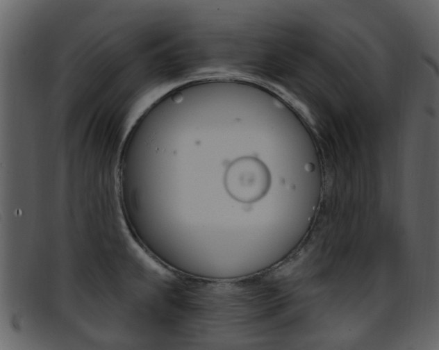 X0000096661239200802050949
