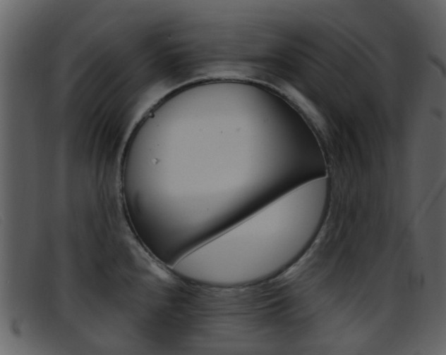 X0000096661240200802050949