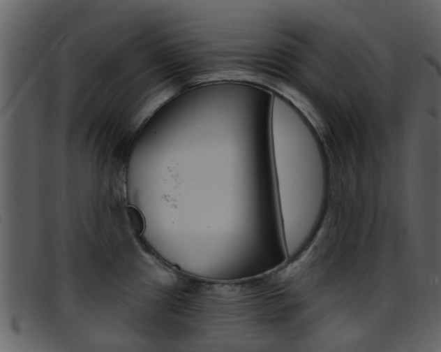 X0000096661241200802050949