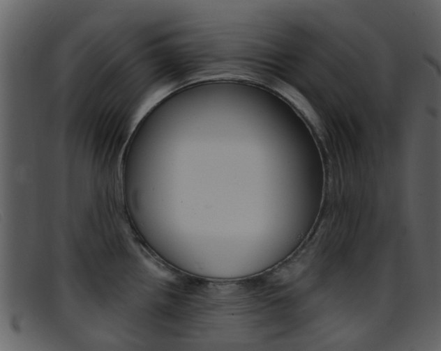 X0000096661242200802050949