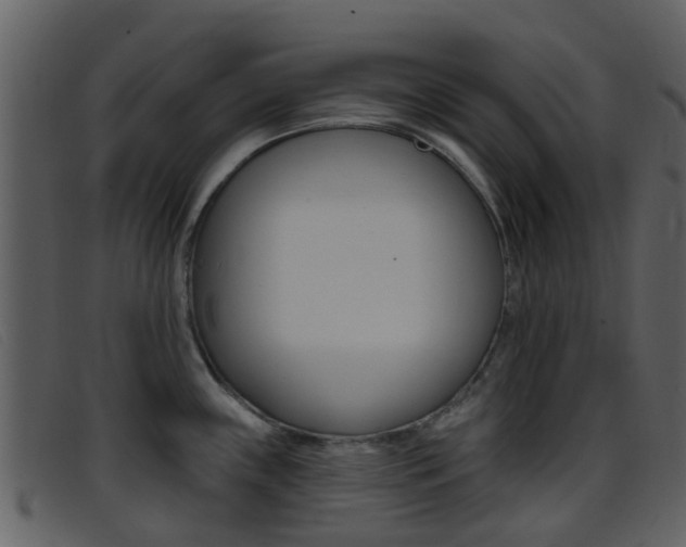 X0000096661243200802050949