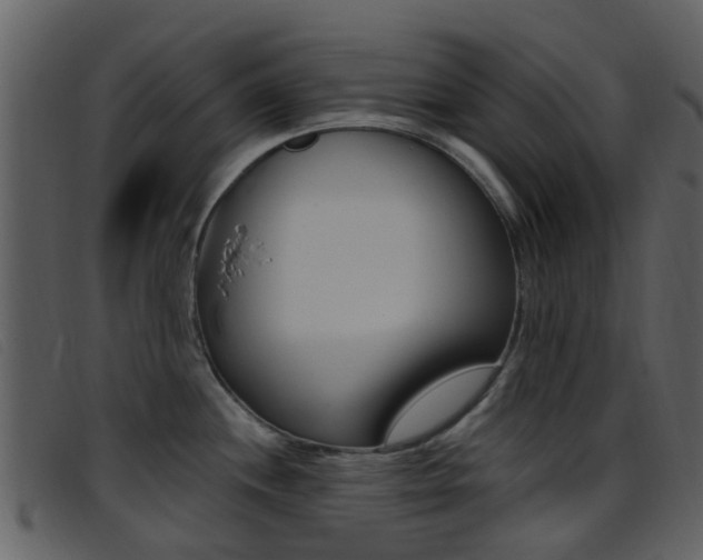 X0000096661244200802050949