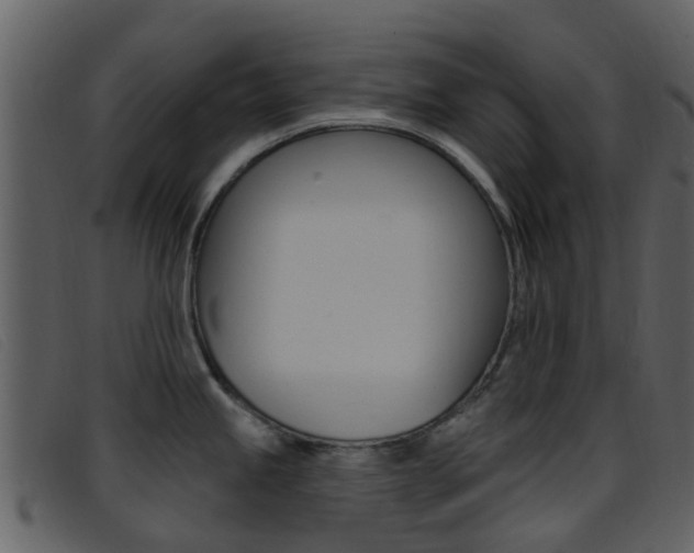 X0000096661245200802050949