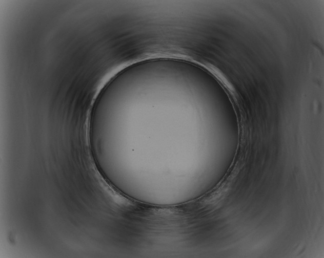 X0000096661246200802050949