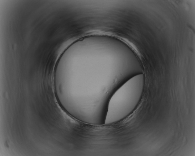 X0000096661247200802050949