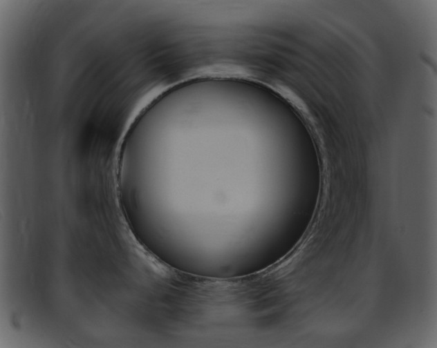X0000096661248200802050949