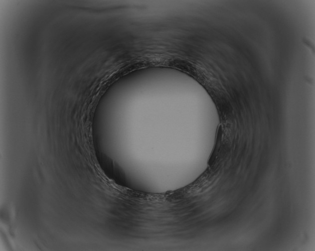 X0000096661249200802050948