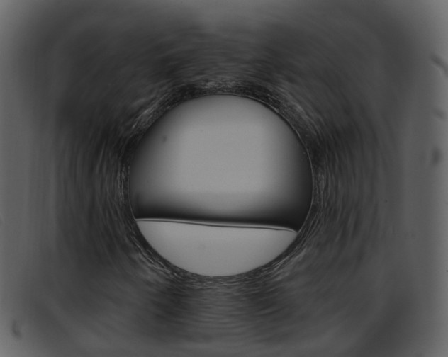 X0000096661250200802050948