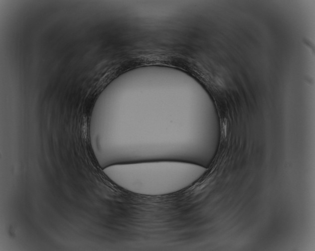 X0000096661251200802050948