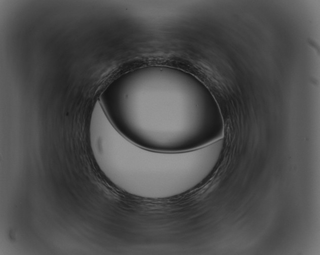 X0000096661252200802050948