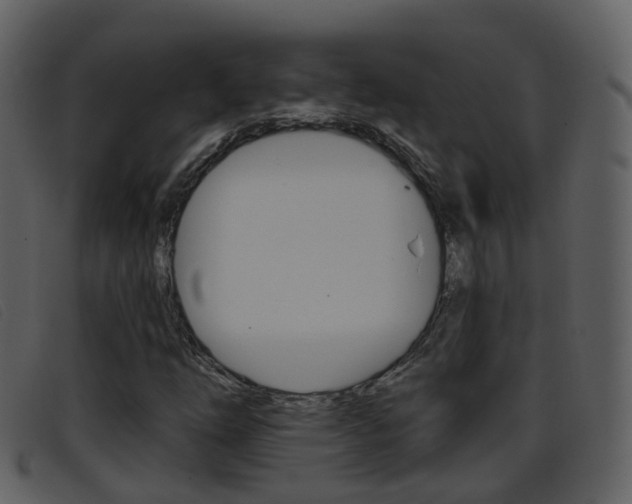 X0000096661254200802050948