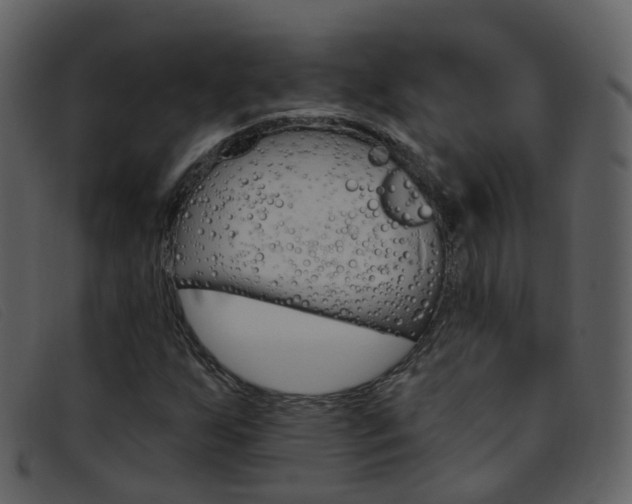 X0000096661255200802050948