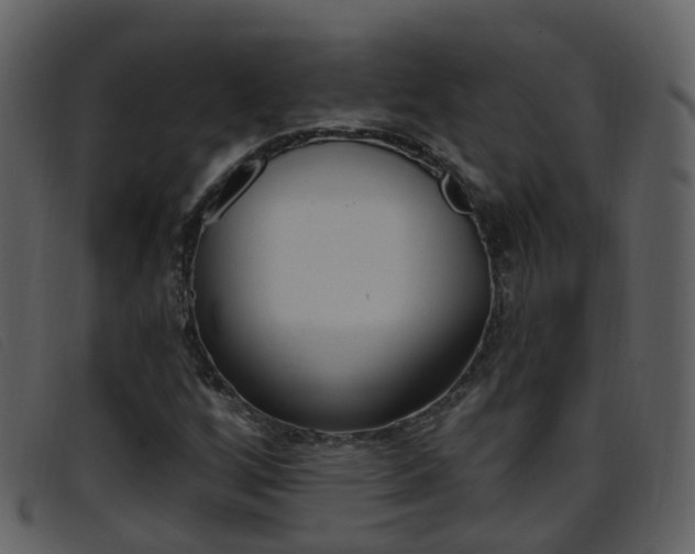 X0000096661256200802050948
