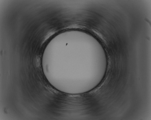 X0000096661258200802050948