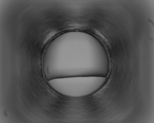 X0000096661259200802050948