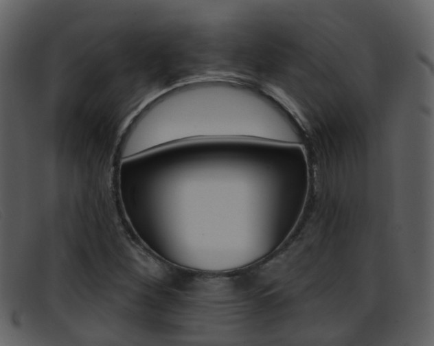 X0000096661260200802050948