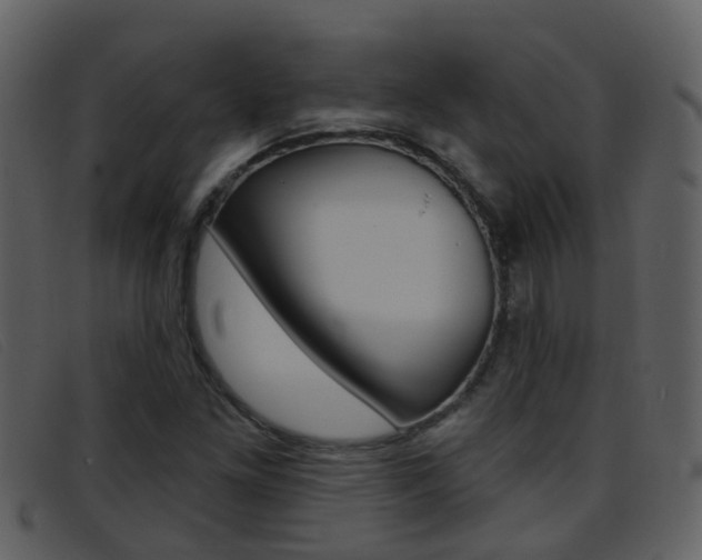 X0000096661261200802050948