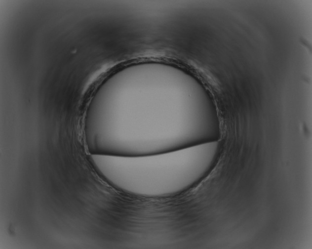 X0000096661262200802050948