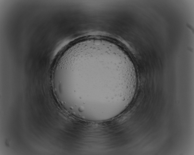 X0000096661263200802050948