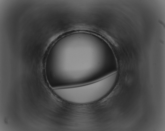 X0000096661264200802050948