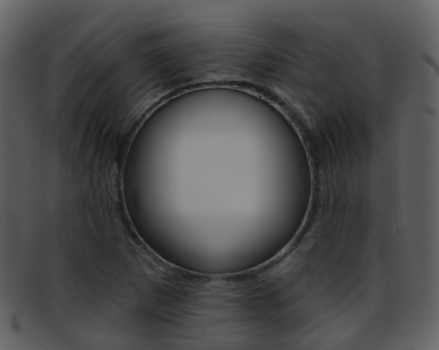 X0000096661265200802050948