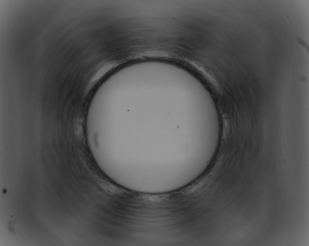 X0000096661266200802050948