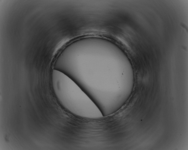 X0000096661267200802050948