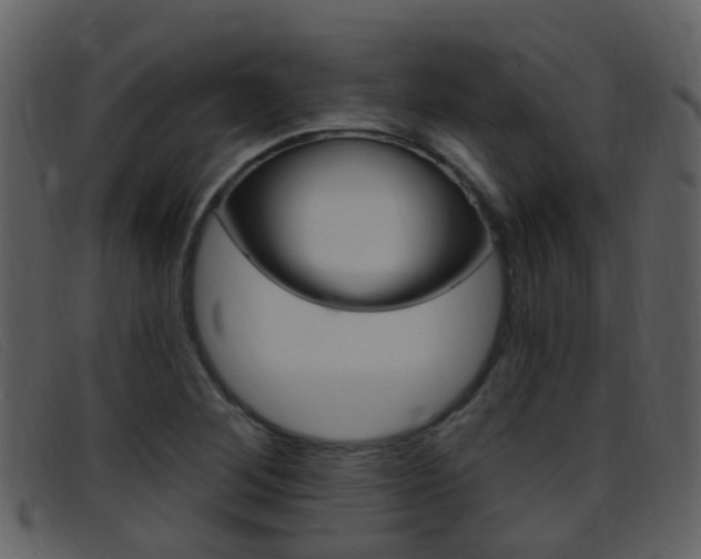 X0000096661268200802050948