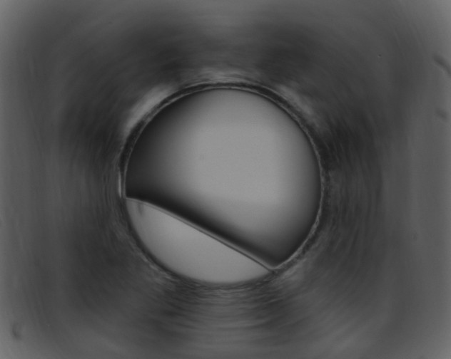 X0000096661269200802050948