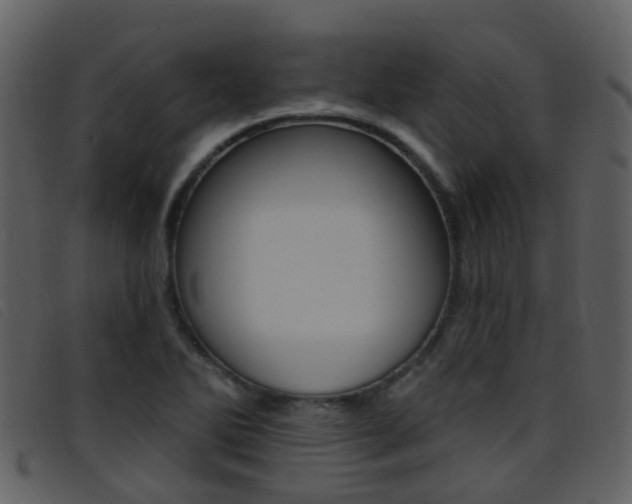 X0000096661270200802050948
