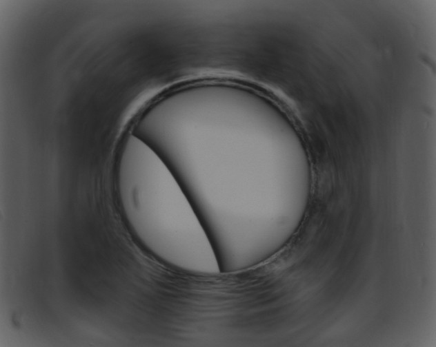 X0000096661271200802050948